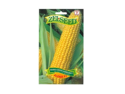 Semená Kukurica(2)