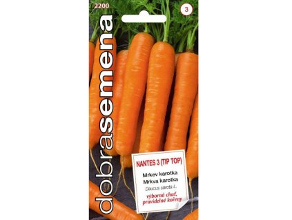 Semená Mrkva(8)