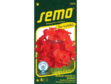 Semená Muškát(10)