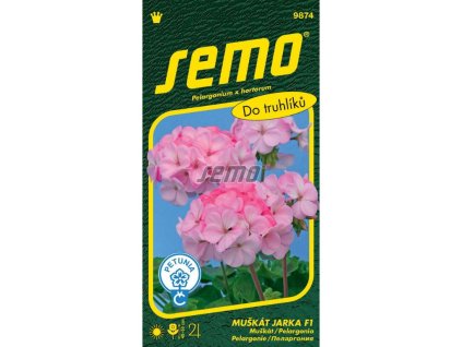 Semená Muškát(16)