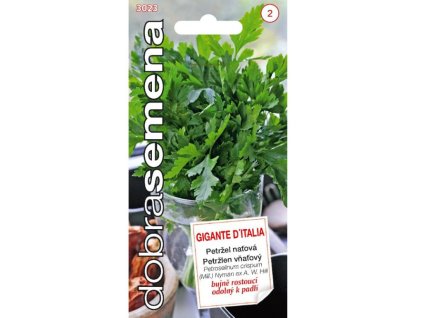 Semená Petržlen(11)