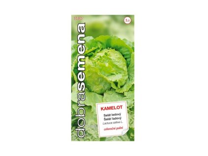 Semená Šalát ľadový