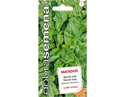 Semená Špenát