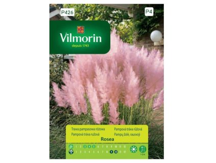 Semená Pampová tráva (1)