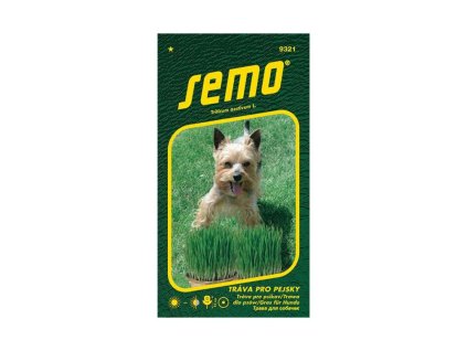Semená Tráva pre psíkov