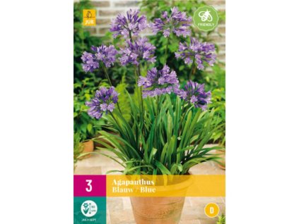 Cibuľoviny Agapanthus(1)