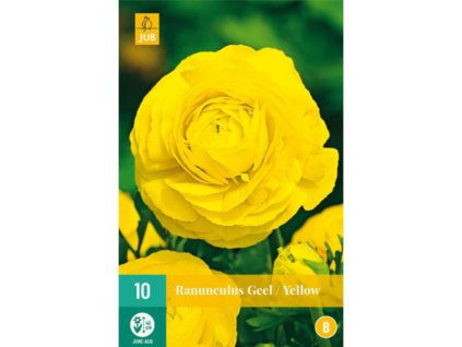 Cibuľoviny Iskerník(3)