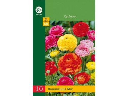 Cibuľoviny Iskerník