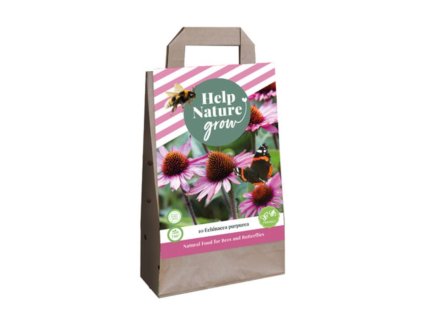 Cibuľoviny Echinacea