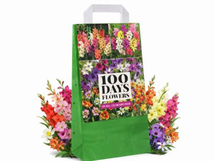 Cibuľoviny Bulb from colour explosion(5)