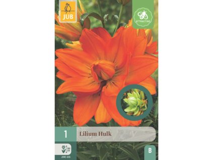 Cibuľoviny Ľalia(10)