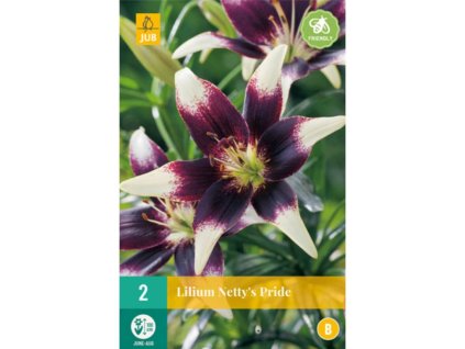 Cibuľoviny Ľalia(13)