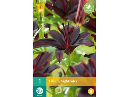 Cibuľoviny Ľalia(14)