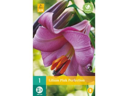 Cibuľoviny Ľalia(16)