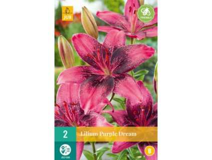 Cibuľoviny Ľalia(17)