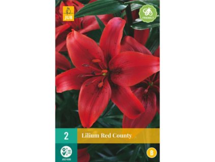 Cibuľoviny Ľalia(18)