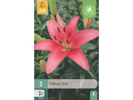 Cibuľoviny Ľalia(19)