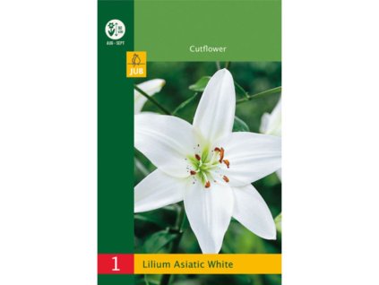 Cibuľoviny Ľalia(2)