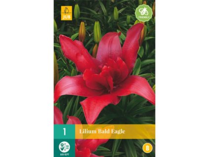 Cibuľoviny Ľalia(4)