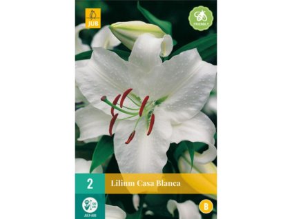 Cibuľoviny Ľalia(6)