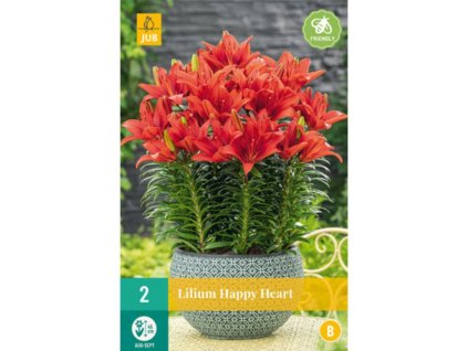 Cibuľoviny Ľalia(9)