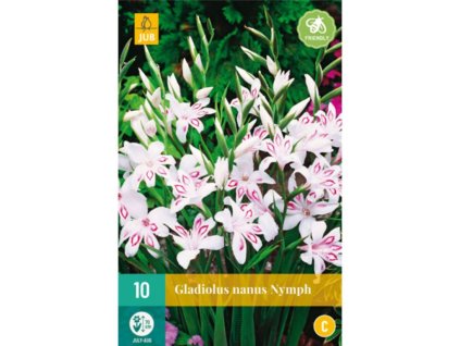 Cibuľoviny Gladiola(4)