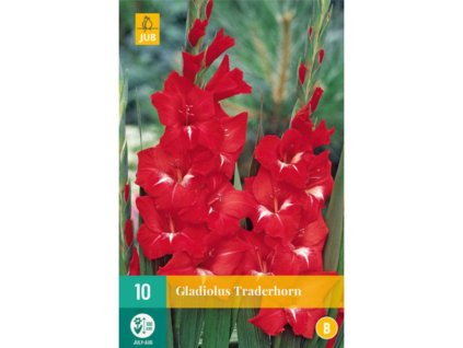 Cibuľoviny Gladiola(9)