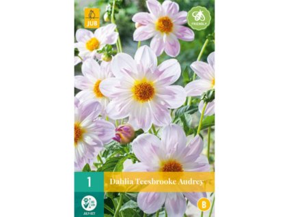 Georgína Teesbrooke Audrey 1 ks v balení