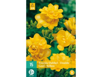 Cibuľoviny frézia(2)