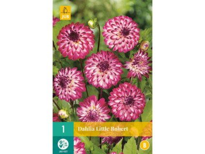 Georgína Little Robert 1 ks v balení