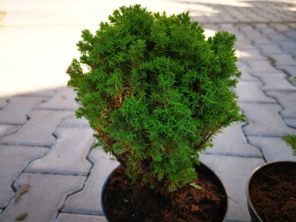 Untitled design 2023 09 29T180915.262