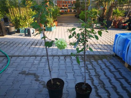 Untitled design 2023 09 29T180617.955