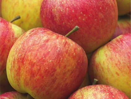 Untitled design (57)