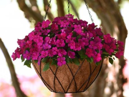 Dizajn bez názvu(162)