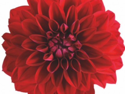 Dizajn bez názvu(102)