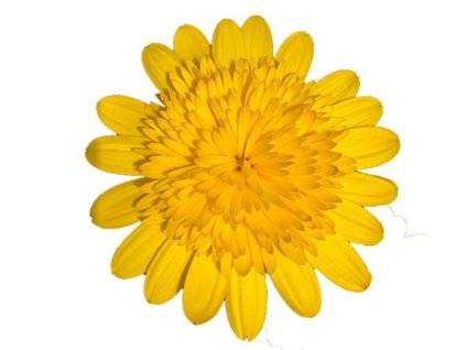 Dizajn bez názvu(182)