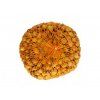 Cibuľa sadzačka Štutgardská 8-21 mm, 250g