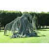Untitled design 2024 06 15T102207.967