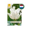 Cibuľoviny Tulipán White Liberstar 5 ks