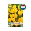 Cibuľoviny Krokus Golden Yellow 10 ks (2)