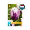 Cibuľoviny Tulipán Flaming Flag 7 ks(7)
