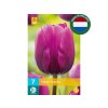 Cibuľoviny Tulipán Negrita 7 ks(5)