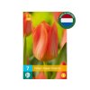 Cibuľoviny Tulipán Orange Emperor 7 ks(2)