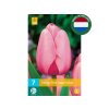 Cibuľoviny Tulipán Pink Impression 7 ks
