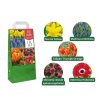Cibuľoviny MIX cibuľovín 5 odrôd oddelene balené 125 ks v balení Bulb Garden Colourful