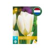 Cibuľoviny Tulipán Purissima 7 ks(3)