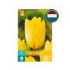 Cibuľoviny Tulipán Strong Gold 7 ks(2)