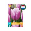 Cibuľoviny Tulipán Synaeda Amor 7 ks(2)