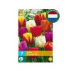 Cibuľoviny tulipán Triumph MIX 7 ks(2)