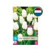 Tulipán Triumph White 5 ks(4)